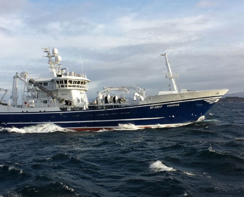 MS Fiskebas ringnotbåten fra Florø